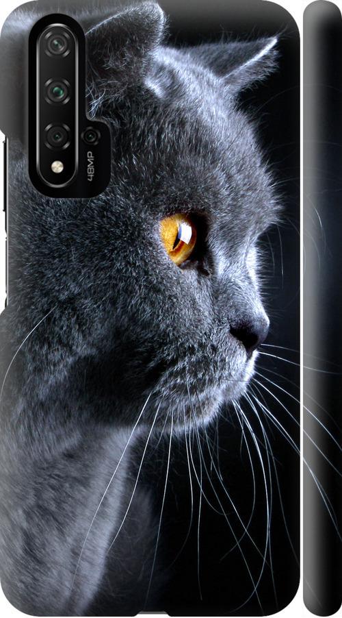 Чохол на Huawei Nova 5T Гарний кіт (3038m-1833-42517)