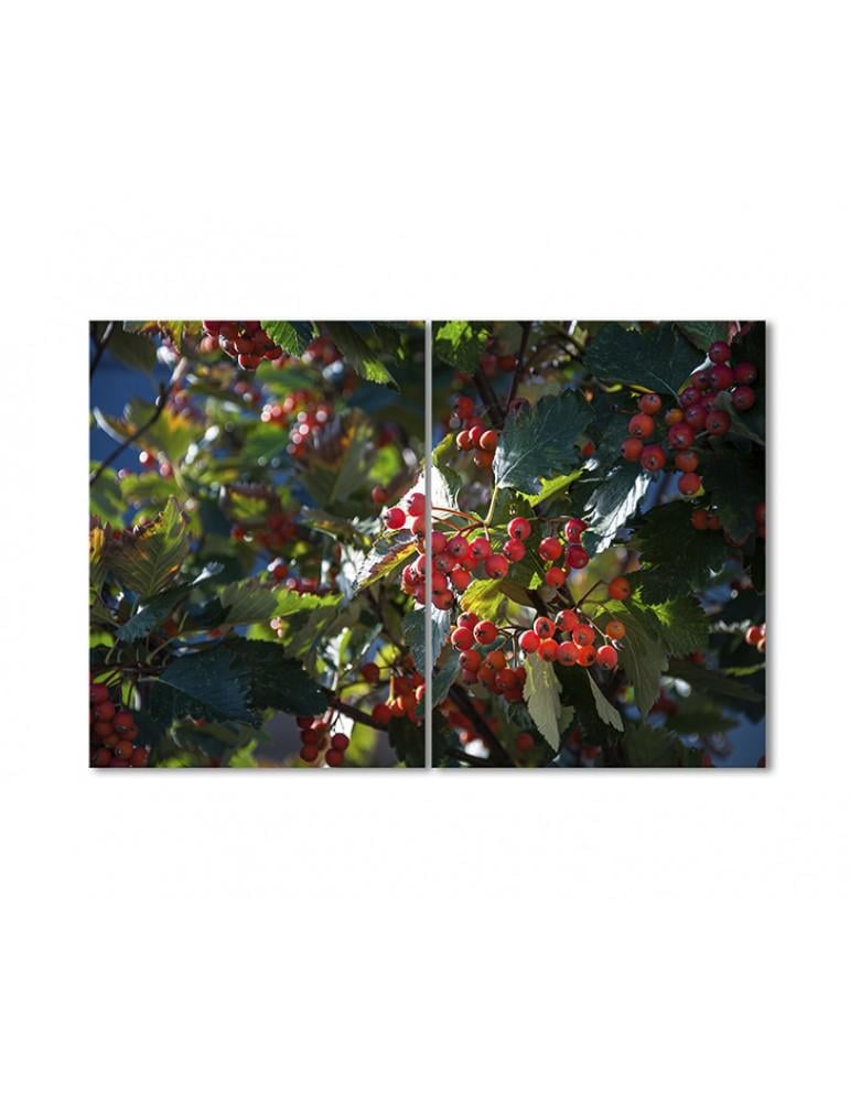 Картина модульная Рябина 2 модуля 40х60 см