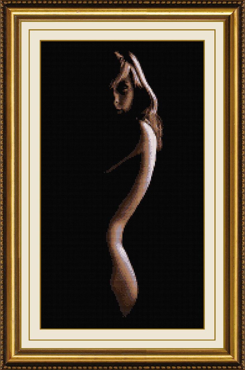 Алмазная мозаика Dream Art Силуэт 35х58 см (DA.30244)