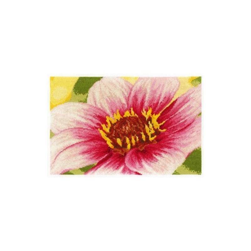 Набор для вышивания крестиком DMC BK1340 Pink Dahlia (17794) Набор для вышивания крестиком DMC BK1340 Pink Dahlia (17794)