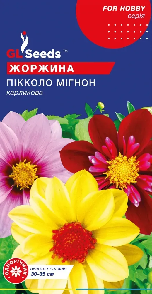 Семена георгины Пикколо Мигнон GL Seeds 0,25 г