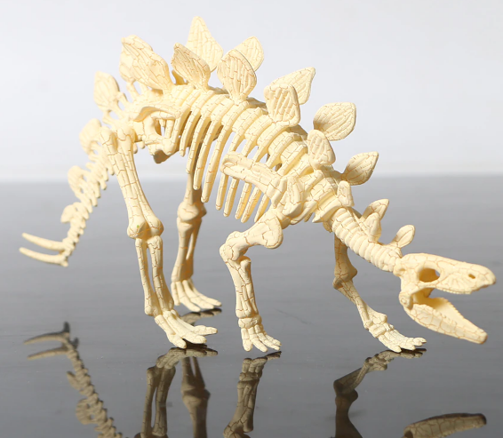 Набор детский полионтолог Stegosaurus (34630354) Набор детский полионтолог Stegosaurus (34630354)