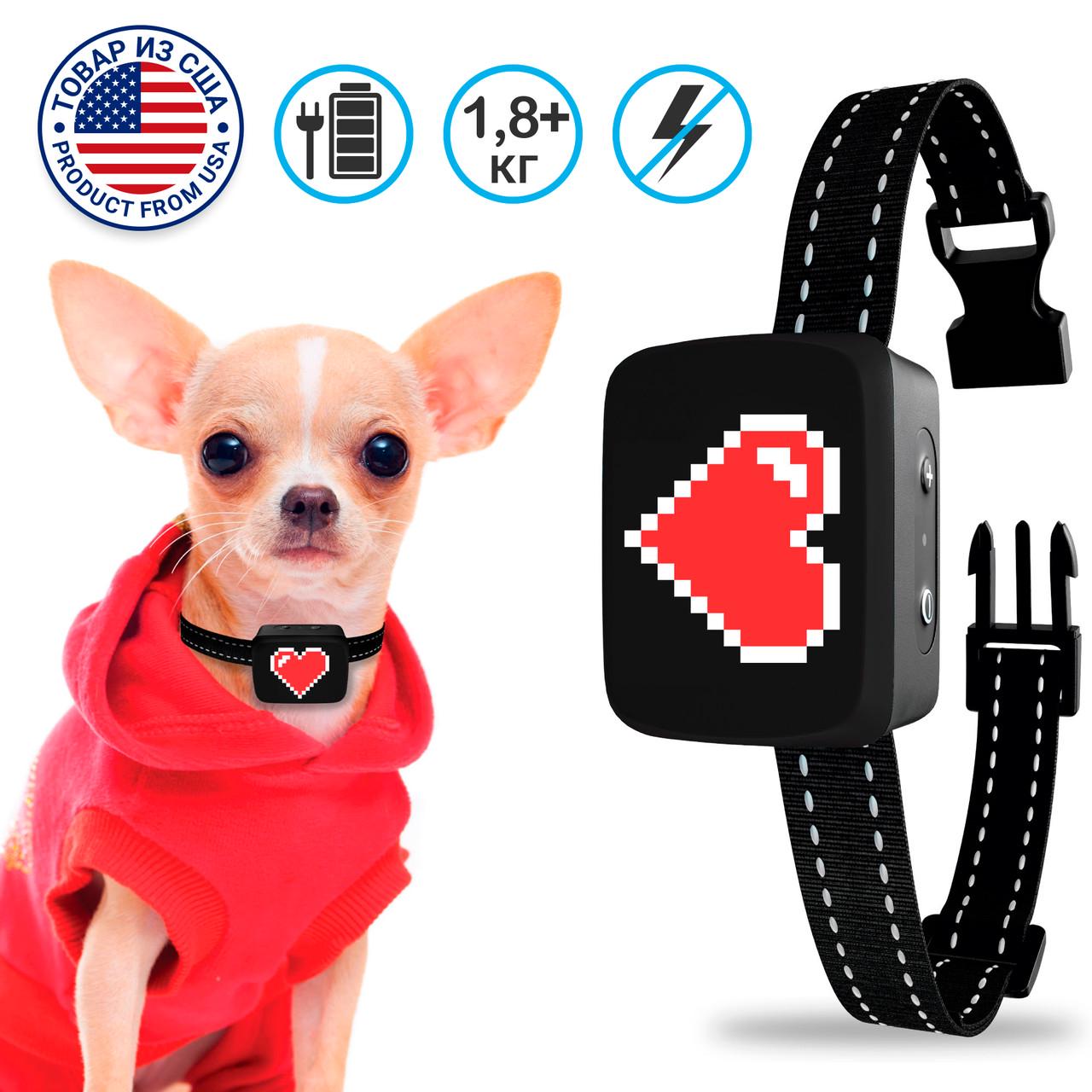 HAPPY DOG | HAPPY CAT - Collar Modern Art ошейник для собак