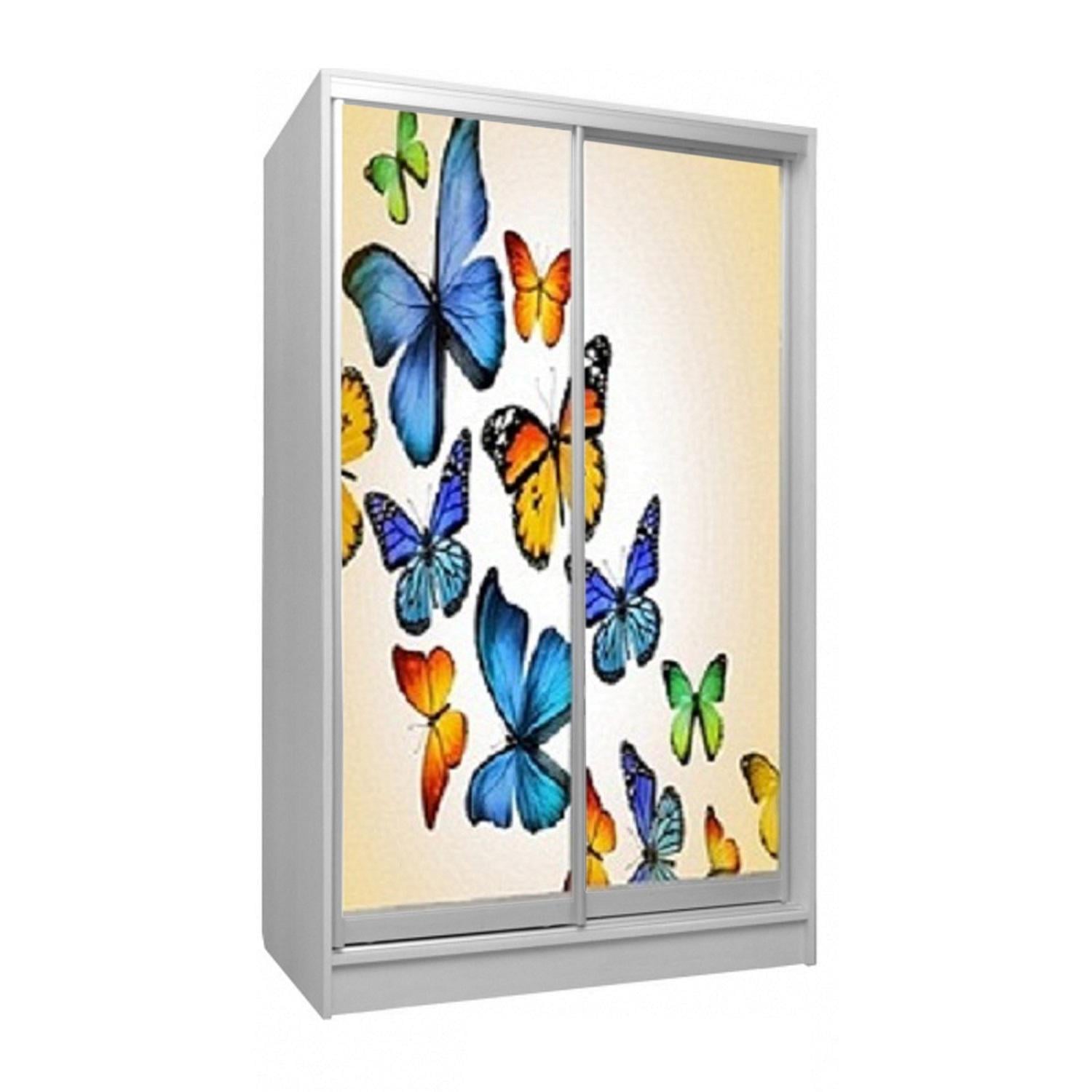 Шкаф-купе двухдверный Viorina-Deko фасад фотопечать 7 100х60х180 см