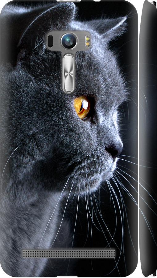 Чехол на Asus ZenFone Selfie ZD551KL Красивый кот (3038c-116-42517)