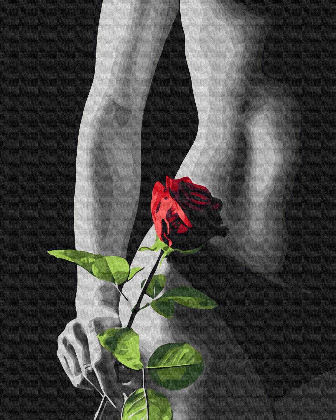 Картина по номерам Brushme Элегантный акцент 40x50 см (BS53919)