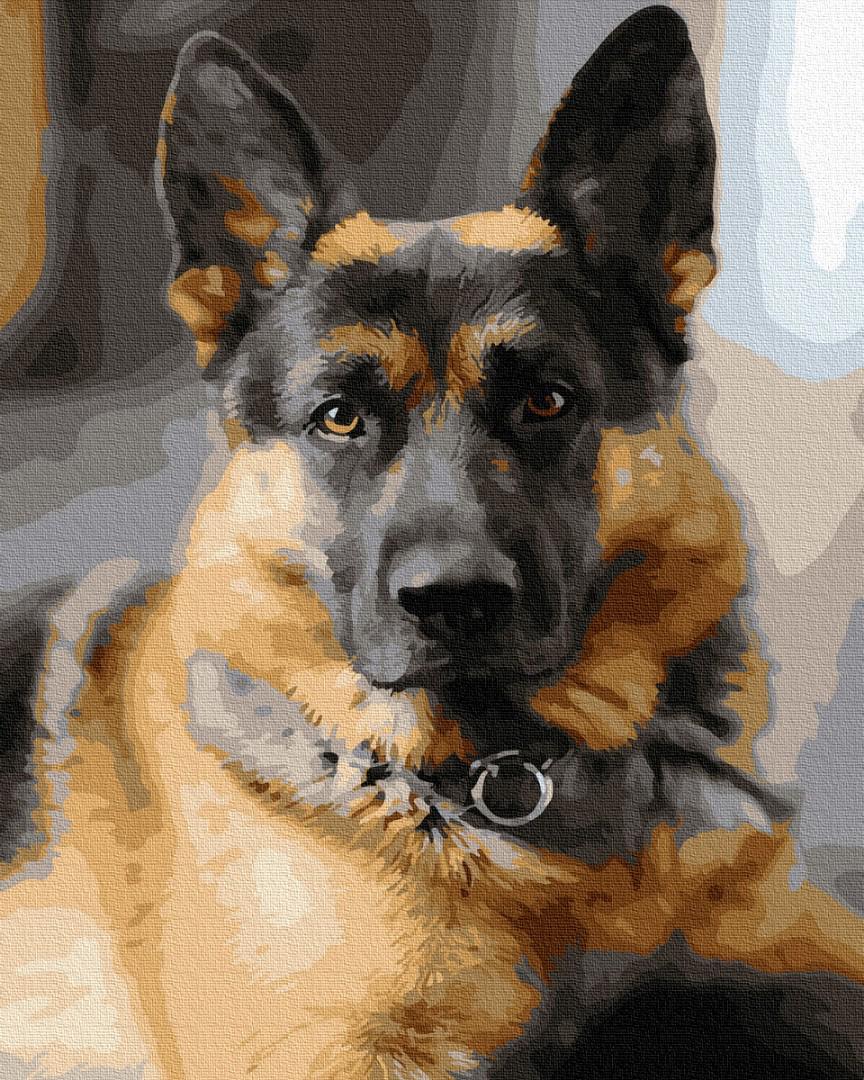 Картина по номерам Brushme Комиссар Рекс 40х50 см (GX29392)