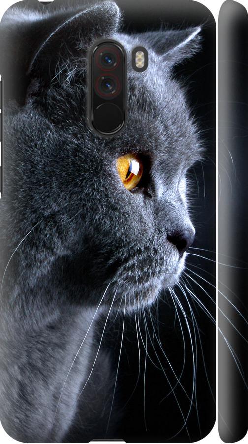 Чехол на Xiaomi Pocophone F1 Красивый кот (3038m-1556-42517) Чехол на Xiaomi Pocophone F1 Красивый кот (3038m-1556-42517)