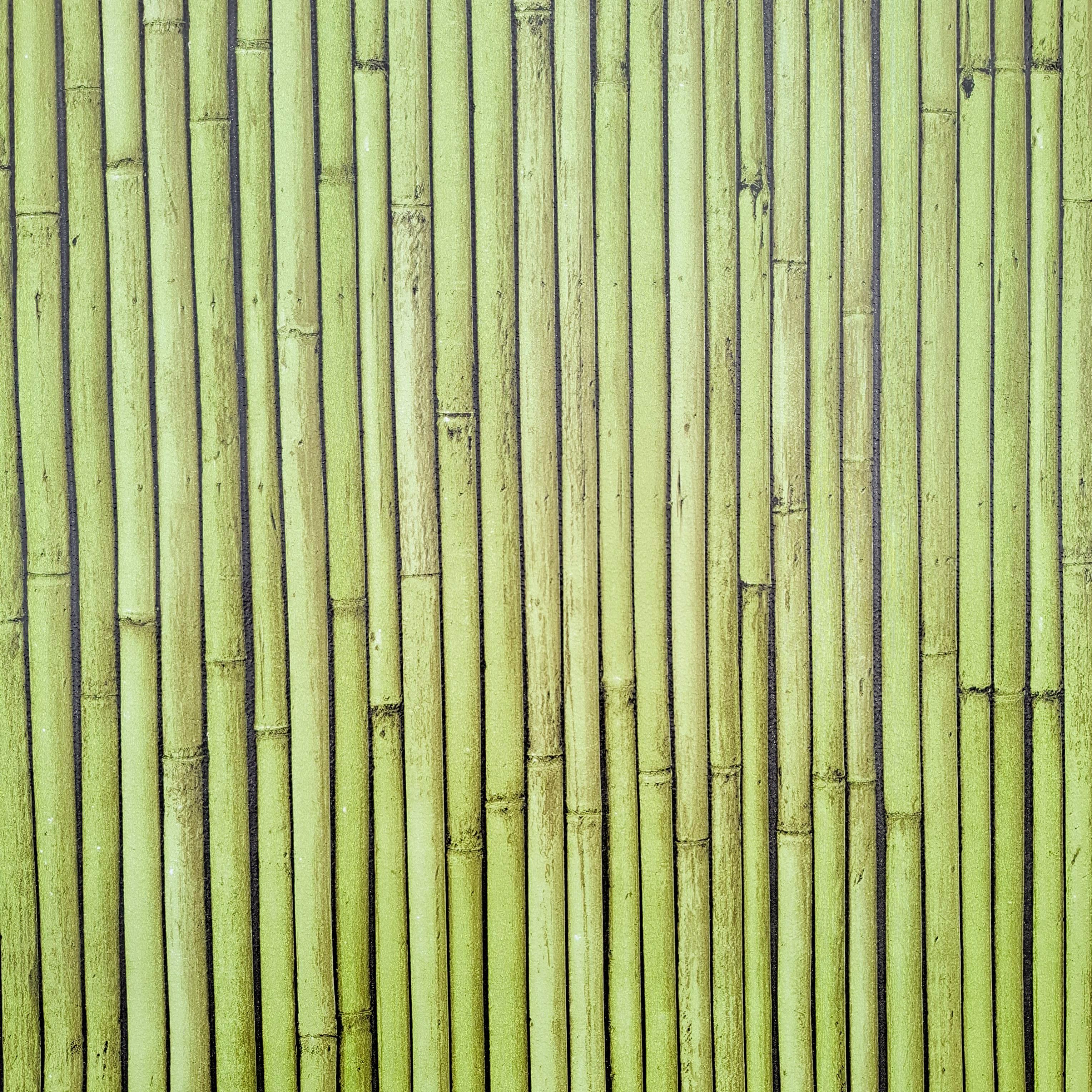 Шпалери прості паперові Шарм Бамбук 177-03 - фото 1 Шпалери прості паперові Шарм Бамбук 177-03 - фото 1