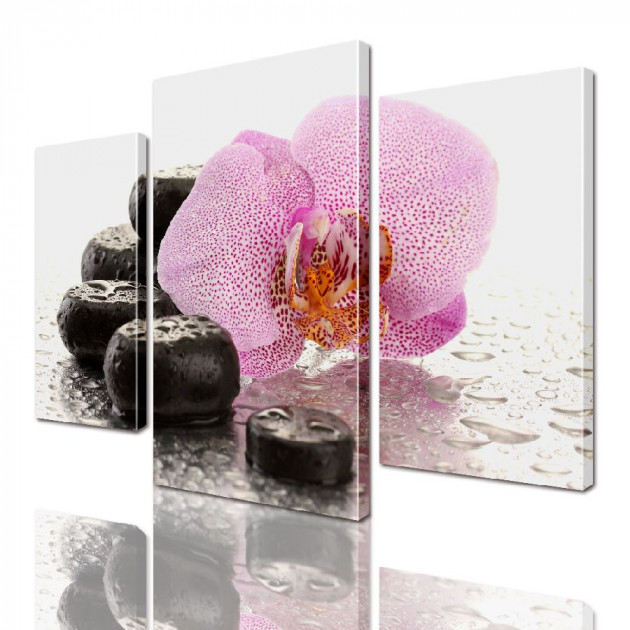 Картина модульная ArtStar Орхидея ADFL0042 120х180 см 3 части