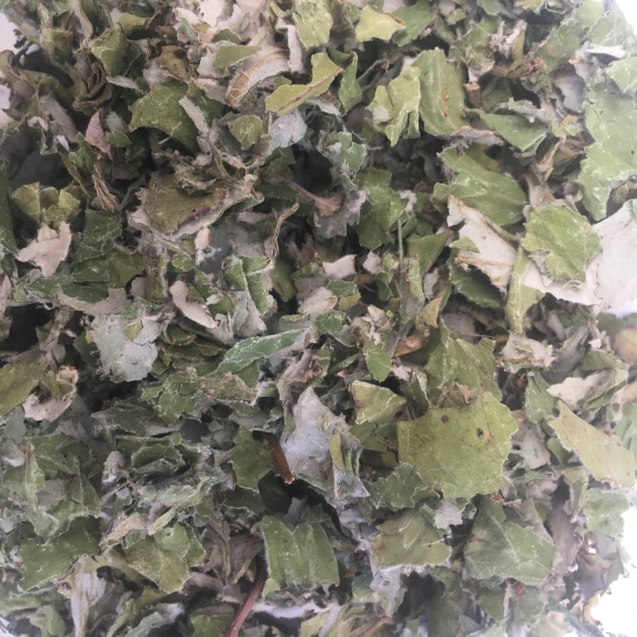 Мать-и-мачеха трава Карпаты 50 г (62872e0a62b56905601a5222) - фото 2