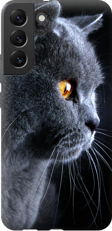 Чехол на Samsung Galaxy S22 Plus Красивый кот (3038u-2495-42517)
