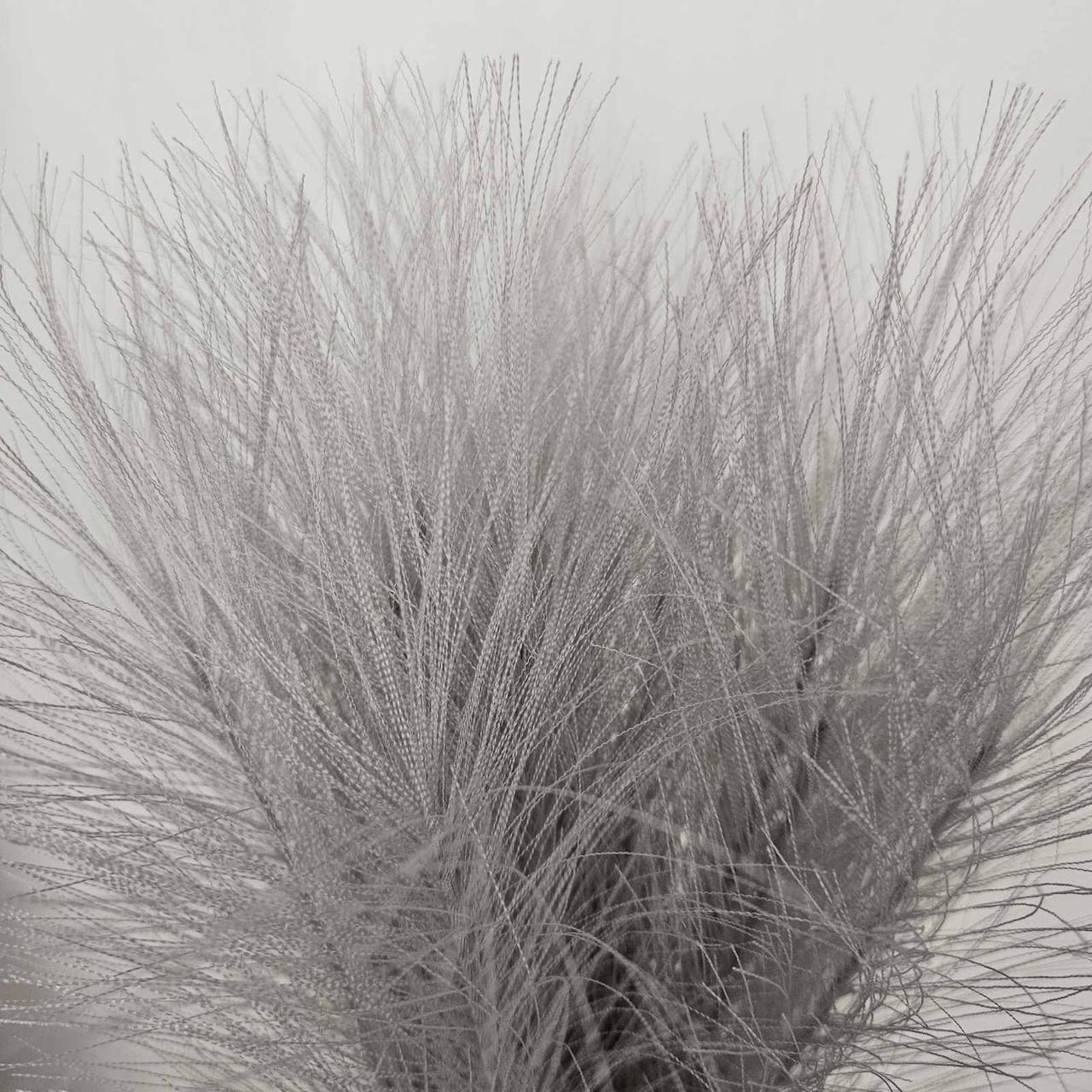 Трава штучна пампасна Букет 10 гілок Сірий (2034207977) - фото 4