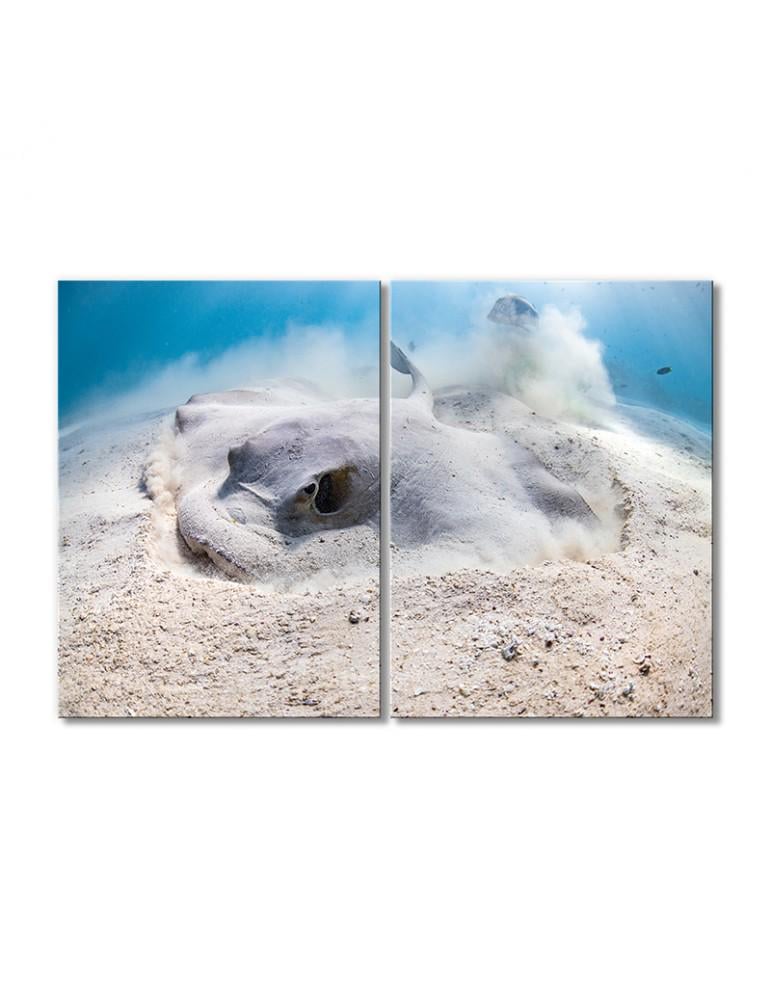 Картина модульная Скат в песке 2 модуля 80x120 см