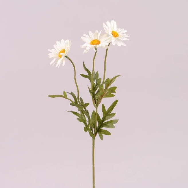 Цветок Маргаритка Flora Белый (72915)