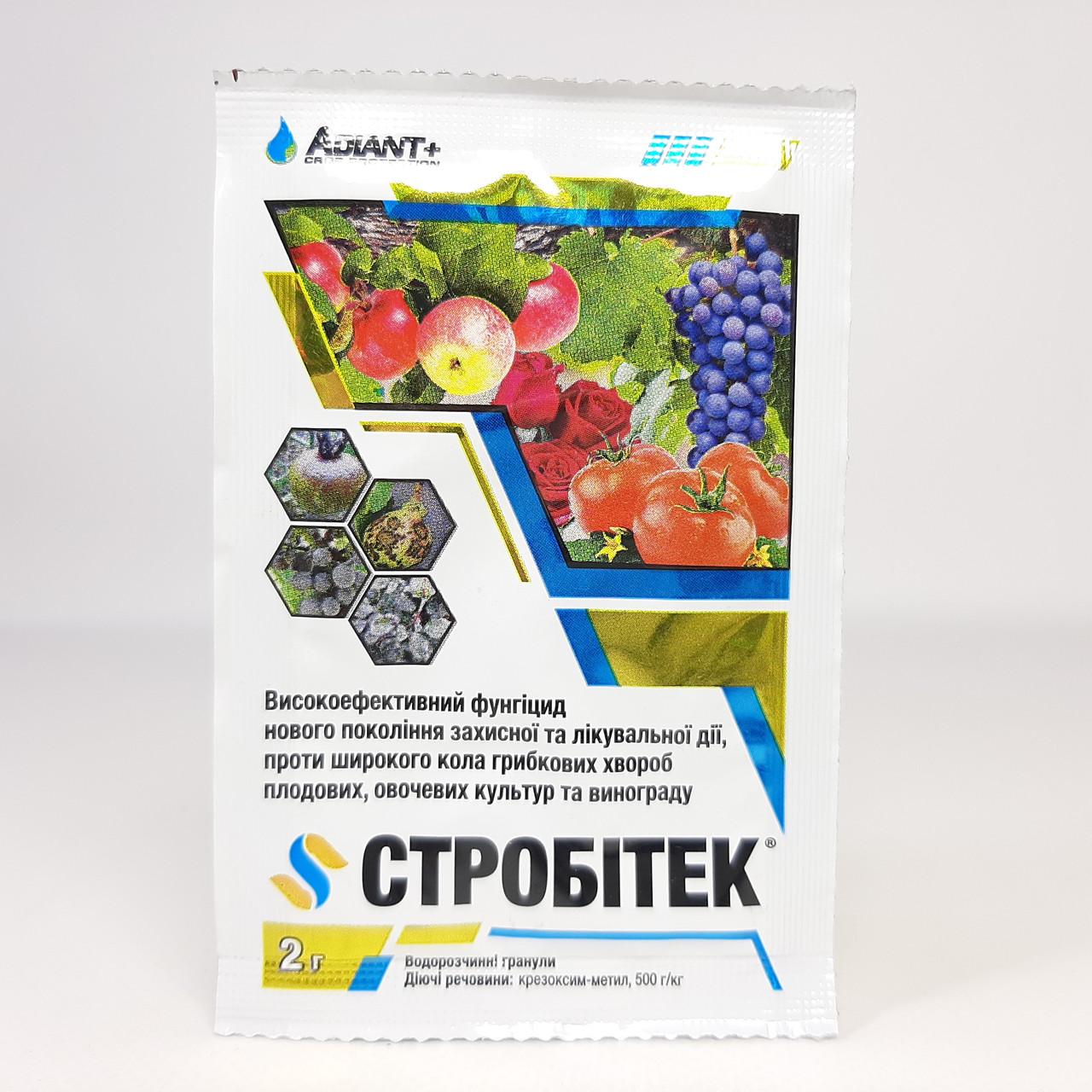 Фунгицид Стробитек Adiant+ 2 г (X-2500) - фото 2 Фунгицид Стробитек Adiant+ 2 г (X-2500) - фото 2