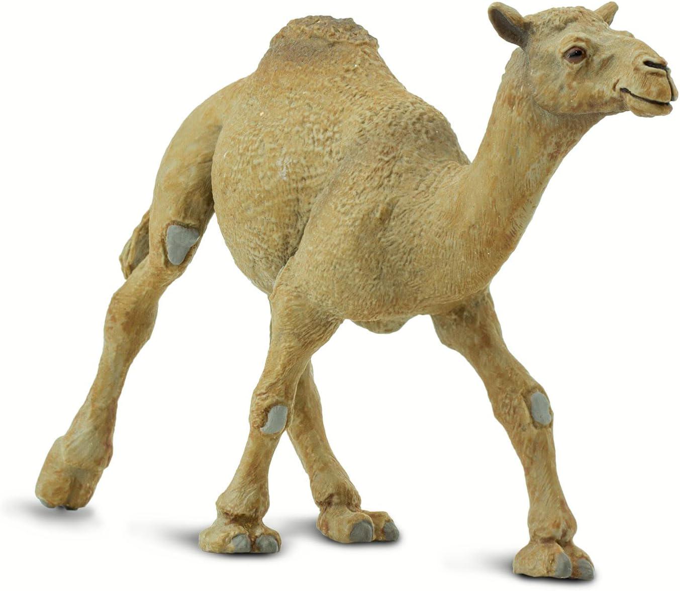 Фигурка Safari Ltd Одногорбый верблюд (222429)