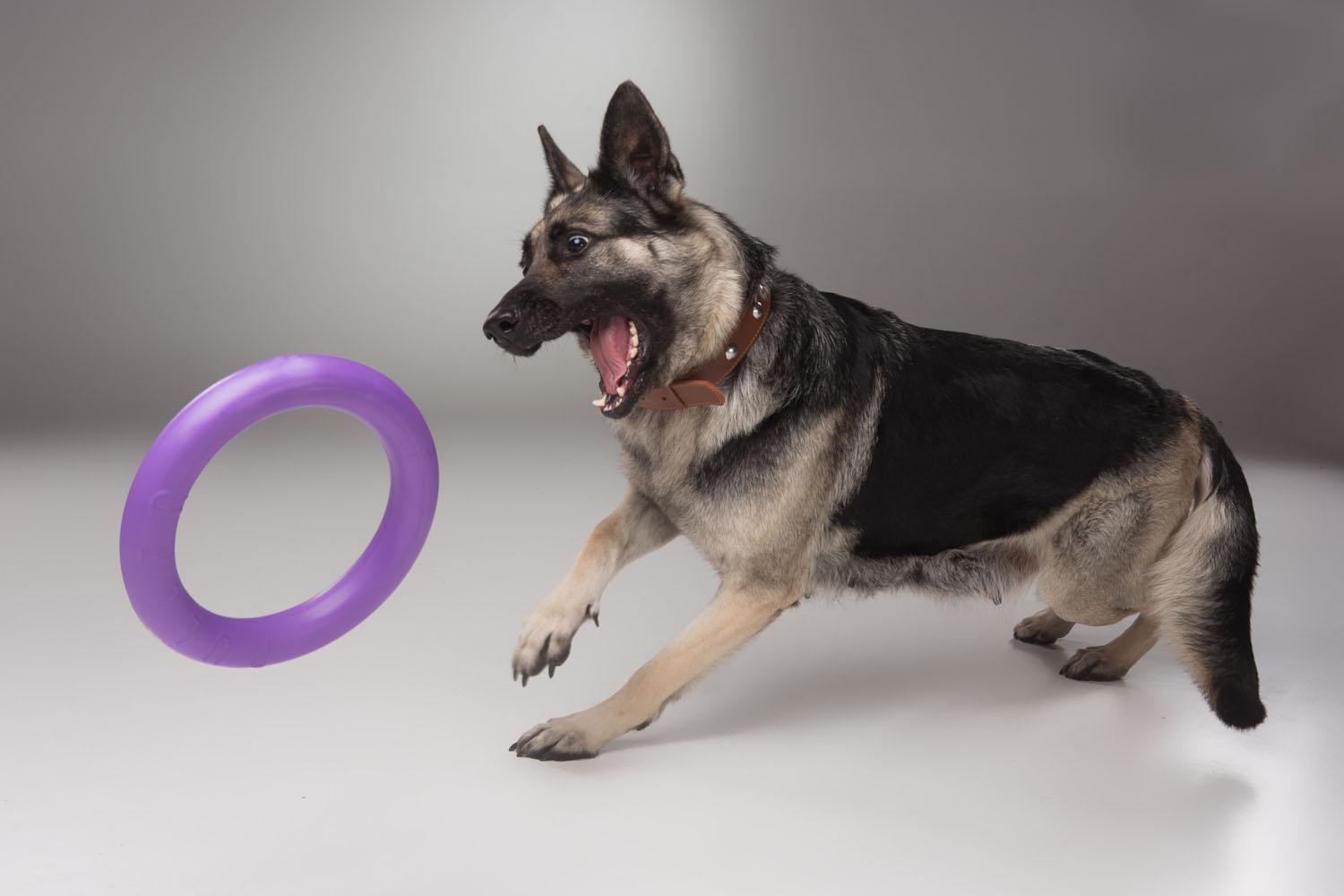 Тренувальний снаряд для собак Puller Standard 28 см (6490) - фото 11