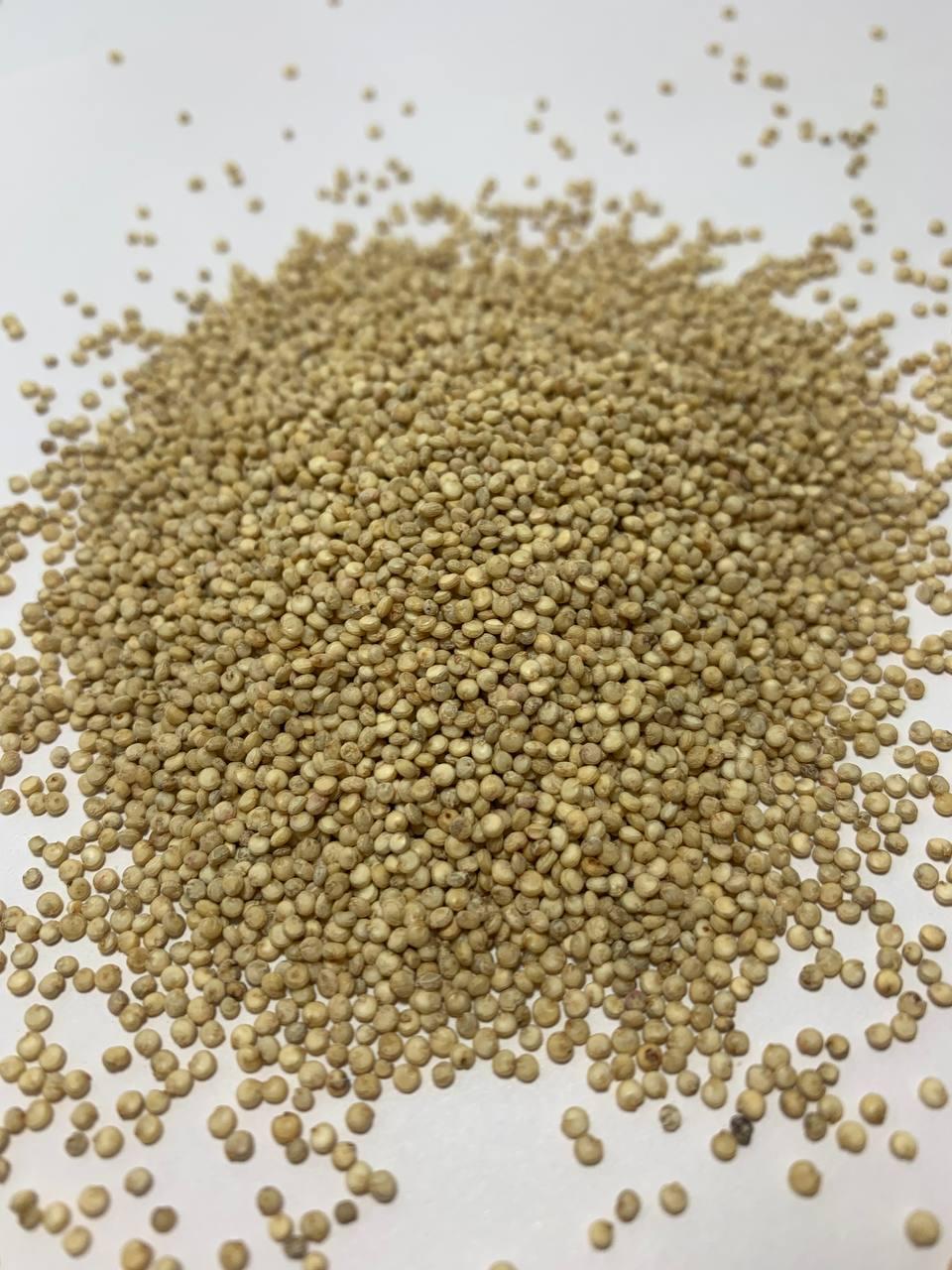 Приправа Кіноа біле 100 г (599)