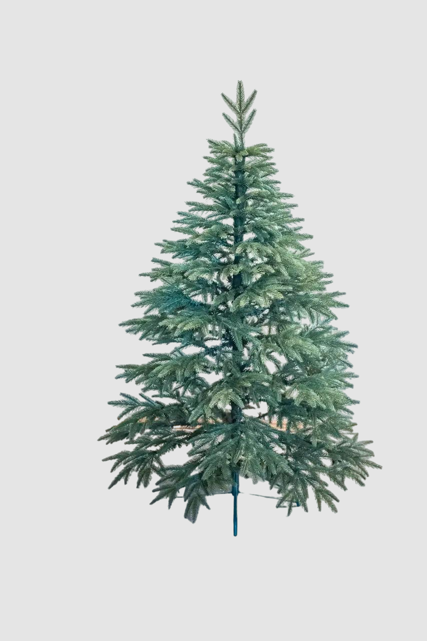 Искусственная елка литая Ель 1,8 м (12901693) - фото 1 Искусственная елка литая Ель 1,8 м (12901693) - фото 1