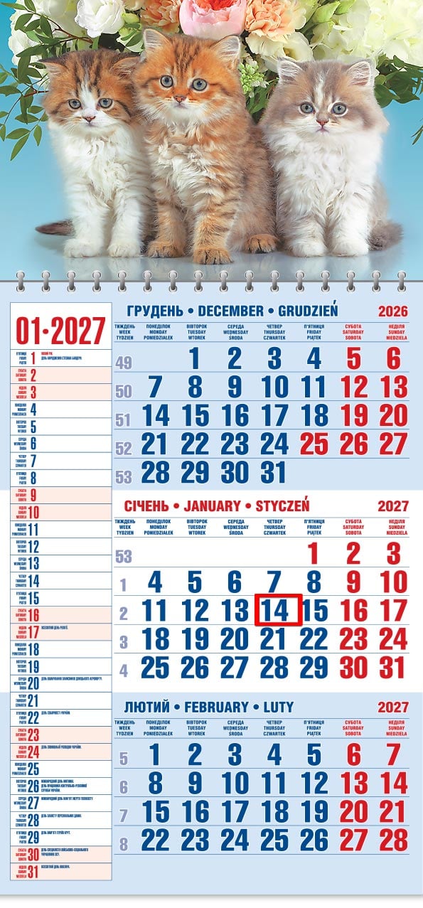 Календар на 2027 р. Офісний 1 Тріо котиків та букет квітів