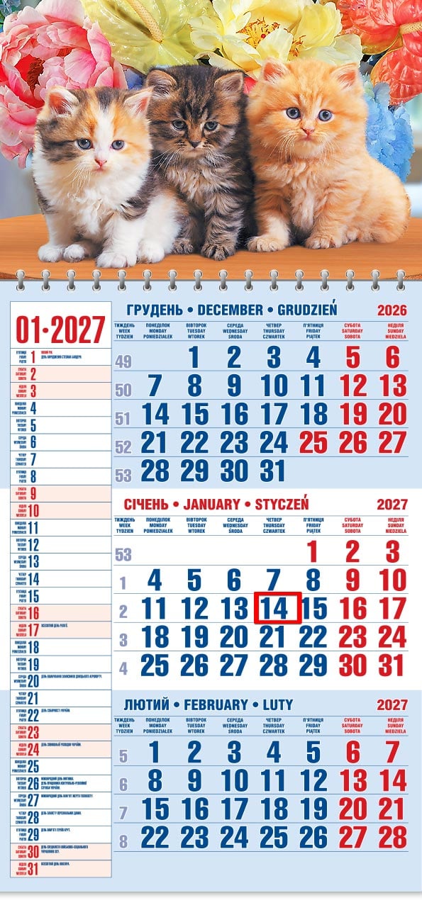 Календар на 2027 р. Офісний 1 Трійка кошенят в квітах