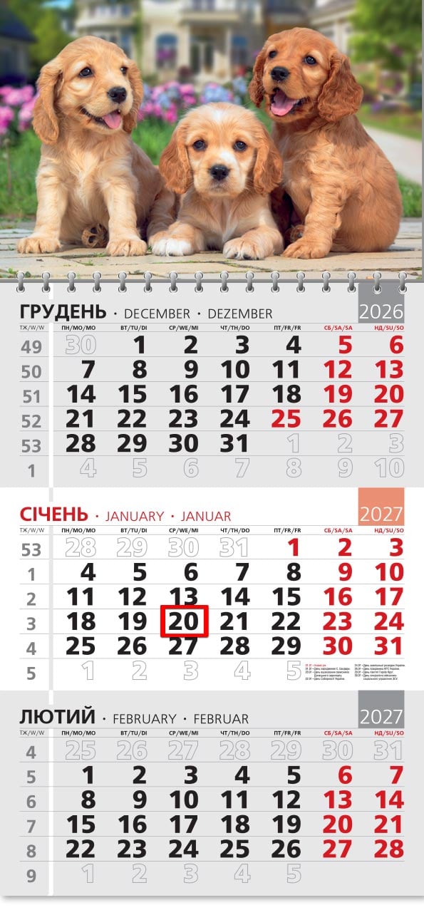 Календар на 2027 р. Офісний 3 Кокер Спаніель
