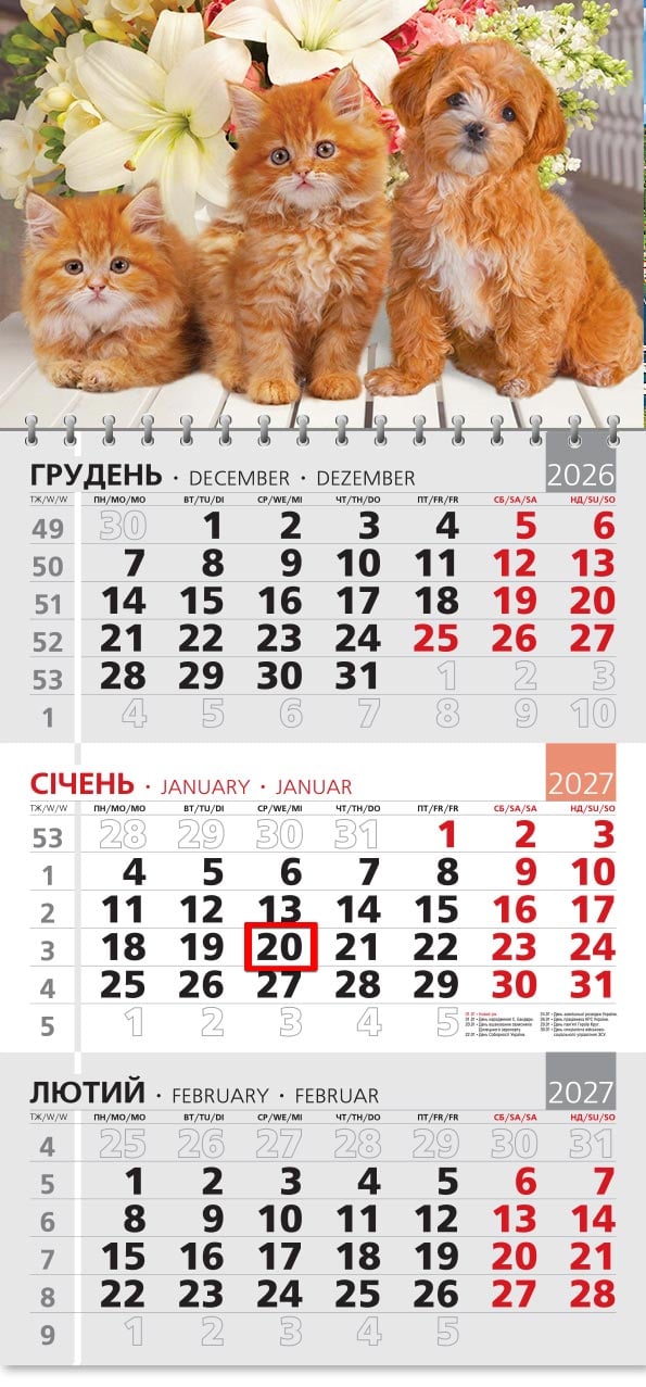 Календар на 2027 р. Офісний 3 Руда трійка