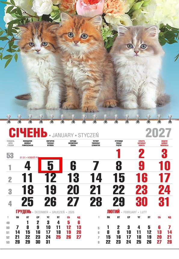 Календар на 2027 р. Офісний економ Тріо котиків та букет квітів