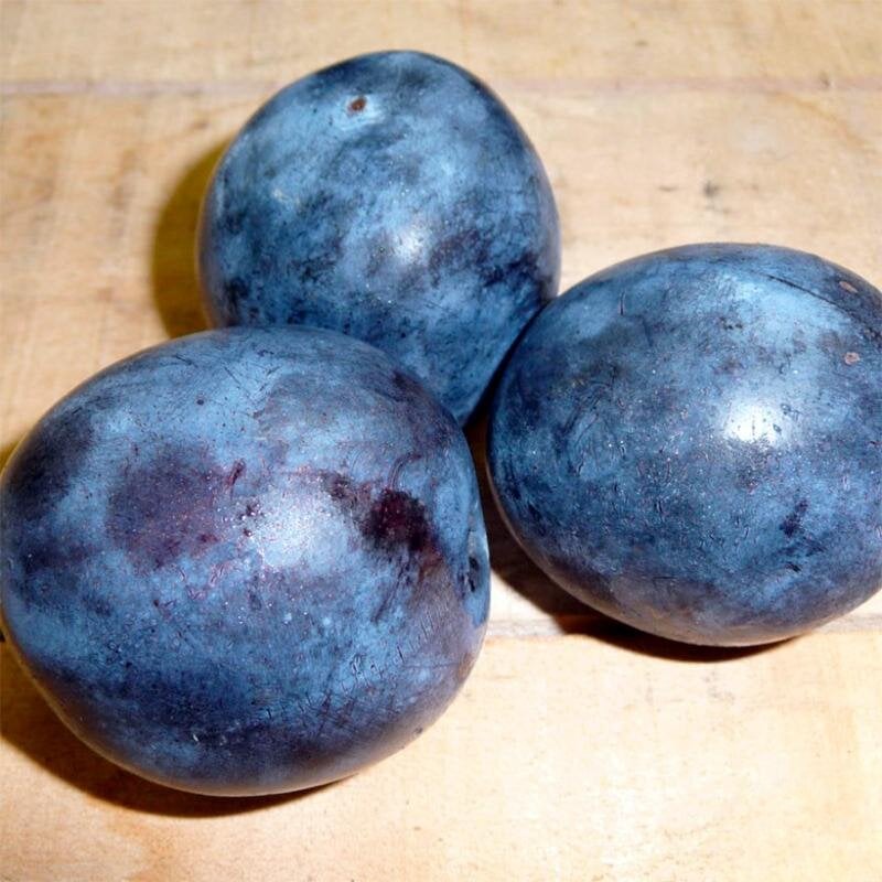 Слива Ненька 1 шт. (38281186)