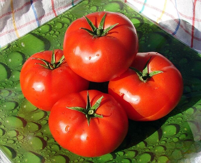 Томат Акулина 25 шт./5 пак. (38301193) Томат Акулина 25 шт./5 пак. (38301193)