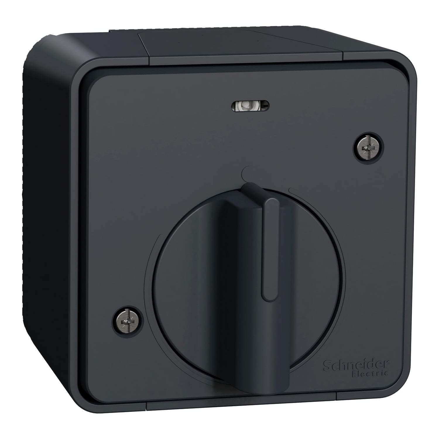 Вимикач з таймером Schneider Electric MUReva Styl IP55 Чорний (MUR35067)