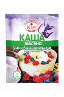 Каша овсяная с лесными ягодами моментального приготовления ТМ Козуб Продукт 40 г х 12 шт. Каша овсяная с лесными ягодами моментального приготовления ТМ Козуб Продукт 40 г х 12 шт.