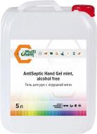 Антисептик безспиртовий гель для рук з ароматом м'ята AntiSeptiс Hand Gel mint alcohol free 5 л