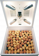 Инкубатор на 80 яиц (мембранный терморегулятор)