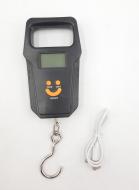 Кантер Portable electronic scale электронные 50 кг (t6782) Кантер Portable electronic scale электронные 50 кг (t6782)