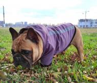 Куртка для собак DogClub Sunny L Plum (DC15122371)