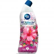 Гель для туалету Ambi Pur WC Botanical Fragrances Гібікус і троянда 750 мл (820802) Гель для туалету Ambi Pur WC Botanical Fragrances Гібікус і троянда 750 мл (820802)