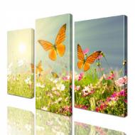 Картина модульная ArtStar Бабочки ADNA0008 45х70 см 3 части Картина модульная ArtStar Бабочки ADNA0008 45х70 см 3 части