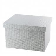 Коробка для зберігання з кришкою Home&You Lumininos розмір XS Коробка для зберігання з кришкою Home&You Lumininos розмір XS