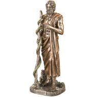 Статуэтка Veronese Асклепий бог медицины и врачевания 29 см (77123A4) Статуэтка Veronese Асклепий бог медицины и врачевания 29 см (77123A4)