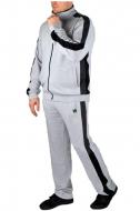Мужской спортивный костюм 2XL Светло-серый (023038)
