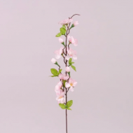 Цвет Яблони Flora 12 шт. Розовый (72802) Цвет Яблони Flora 12 шт. Розовый (72802)