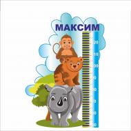Ростомер Vivay "Максим" (1544) Ростомер Vivay "Максим" (1544)