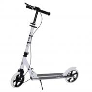 Самокат iTrike SR 2-049-1-WB White/Black (SR 2-049-1) Самокат iTrike SR 2-049-1-WB White/Black (SR 2-049-1)