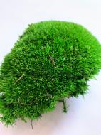 Мох стабілізований Green Ecco Moss Кочка Зелена 500 гр.