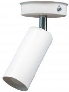 Спот MSK Electric Tube в стилі лофт з поворотним механізмом NL 1105-1 W Спот MSK Electric Tube в стилі лофт з поворотним механізмом NL 1105-1 W
