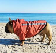 Куртка для собак DogClub Sunny XXL Terracotta (DC15122364)