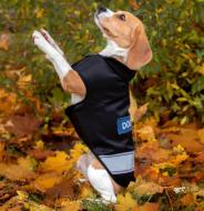 Жилетка для собак DogClub Sven XXL Black-Blue (DC15122340) Жилетка для собак DogClub Sven XXL Black-Blue (DC15122340)