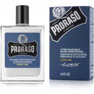 Бальзам після гоління After Shave Balm AL 100 мл (8004395007813) Бальзам після гоління After Shave Balm AL 100 мл (8004395007813)